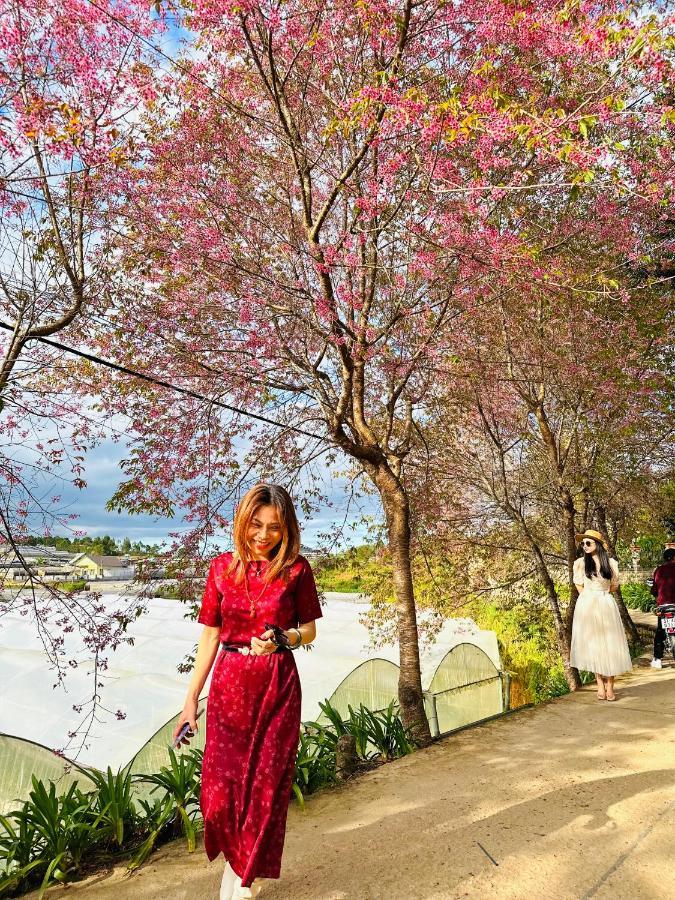 Dalat Stream Hotel-Khach San Dep ดาลัด ภายนอก รูปภาพ